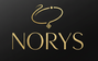 Norys – Accueil